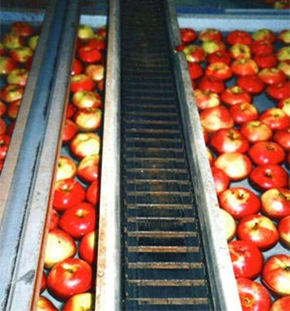 Serie R68 i et æblesorteringsanlæg, i konstant kontakt med fugtighed og støv.